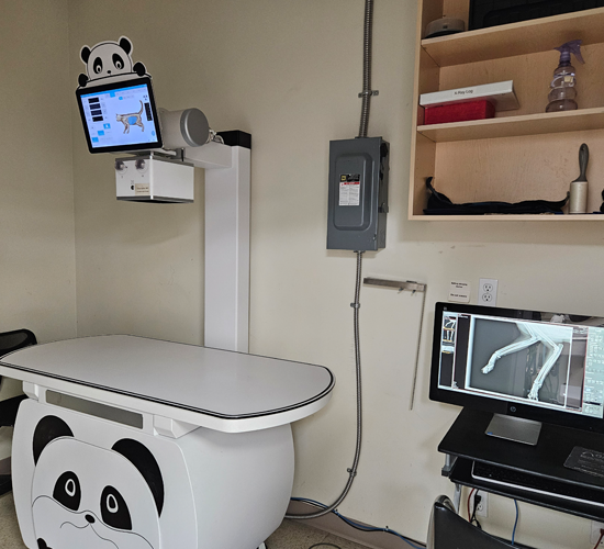Hospital photo 8
